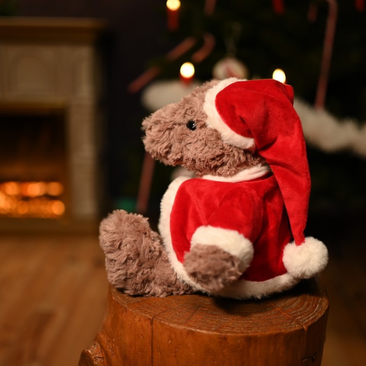 Ourson Père Noël
