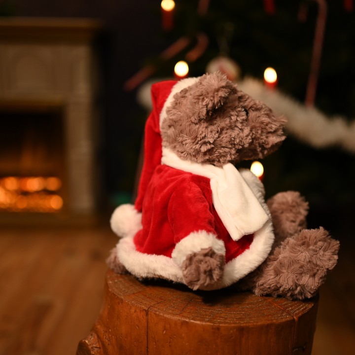 Ourson Père Noël