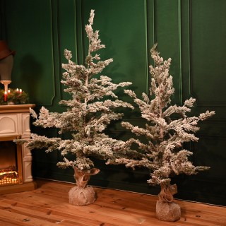 Jeune sapin de Noël enneigé