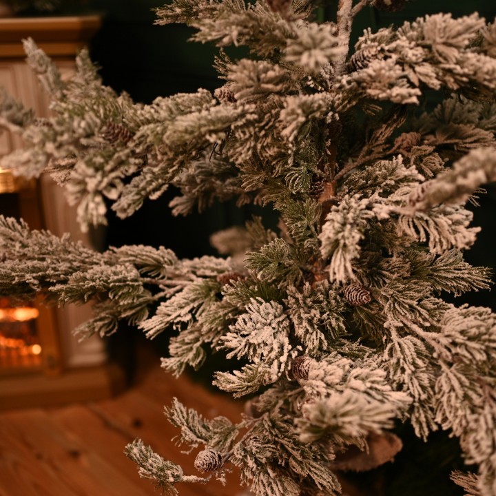 Jeune sapin de Noël enneigé