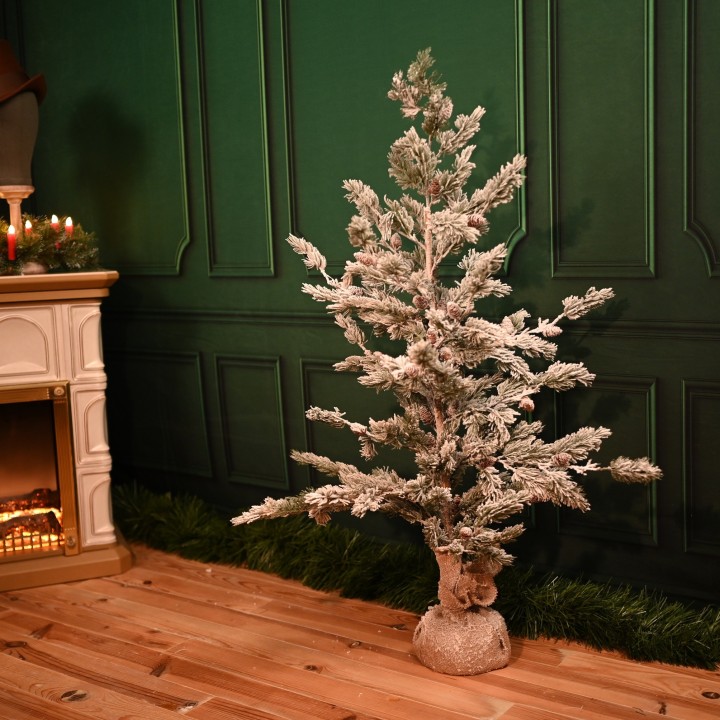 Jeune sapin de Noël enneigé