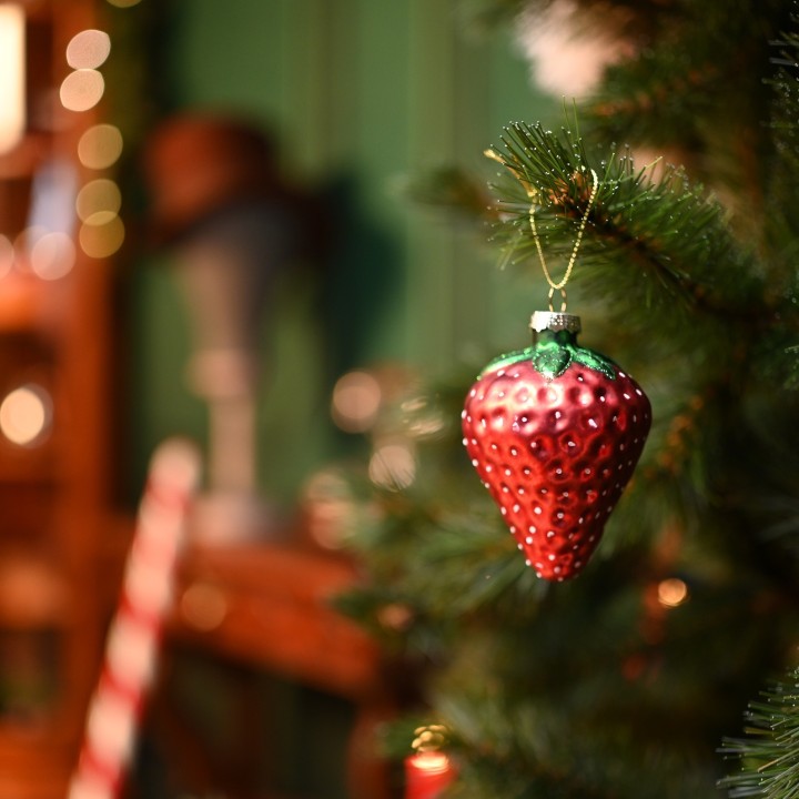 Suspension fraise de noël